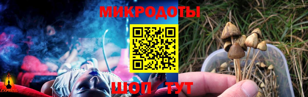 Галлюциногенные грибы ЛСД Добрянка