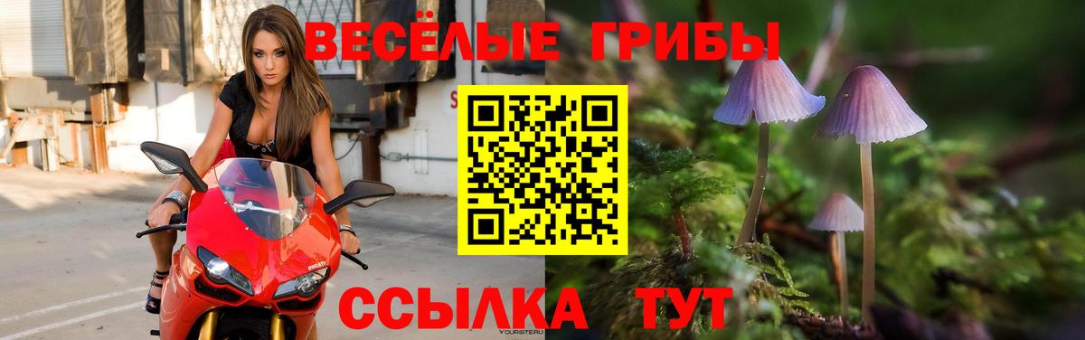 Псилоцибиновые грибы Psilocybine cubensis  Псилоцибиновые грибы мицелий  наркота  Добрянка  Вход с VPN 
